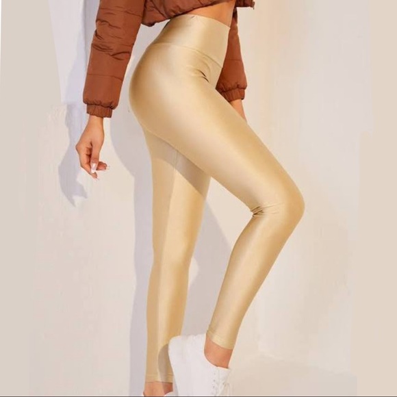 Aritzia Pants - TNA Leggings